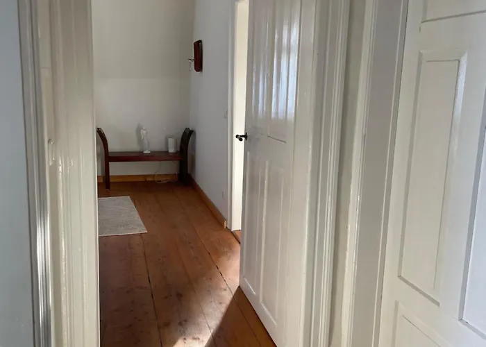 Stadtvilla Oscar 2 Og - Stilvoll Sanierte Altbauwohnung In Denkmalgeschützter Stadtvilla Nahe Elbradweg Dresde